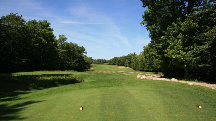 Rock At Drummond Island