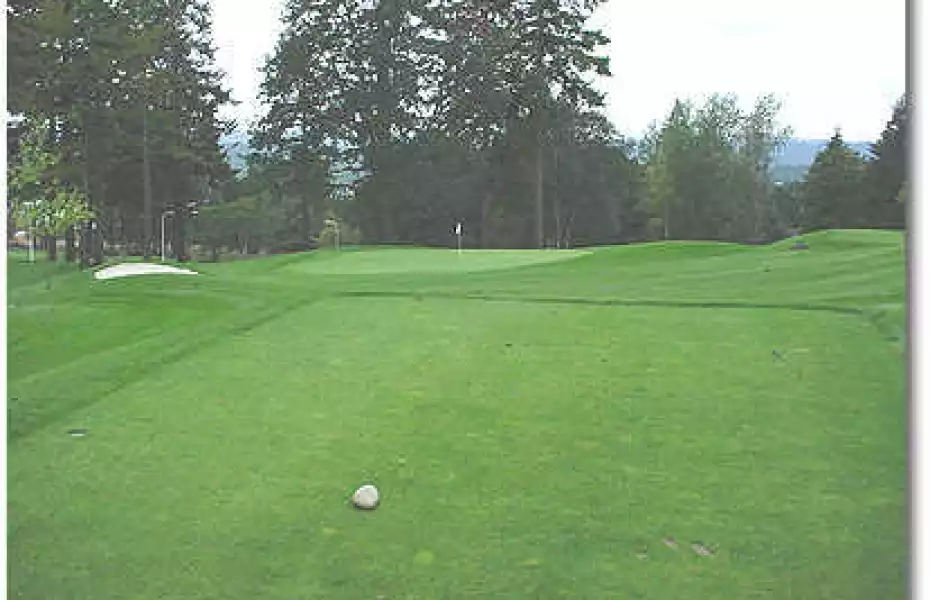 Eagle Landing #11