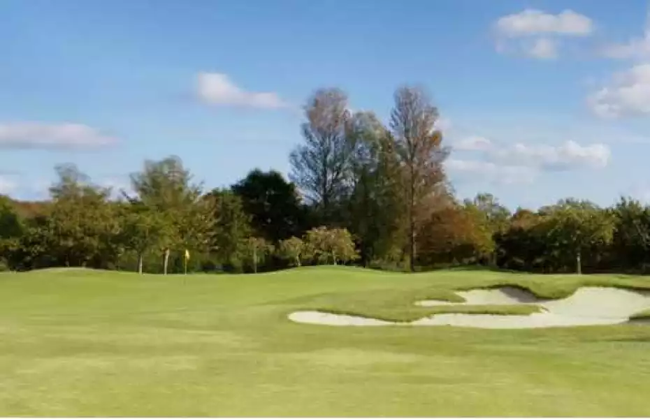 Dorset GCC - Woodland: #1