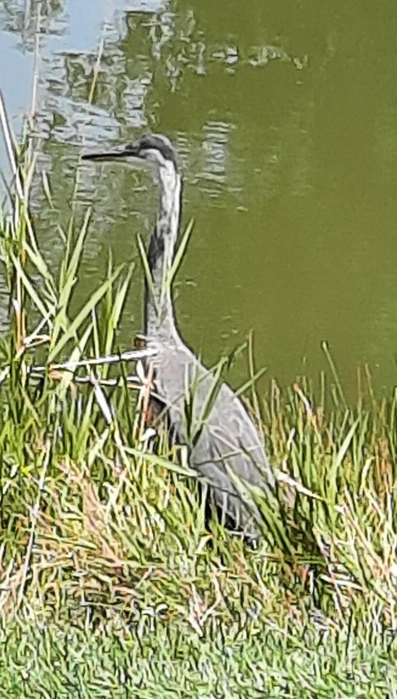 (Photo submitted by u9769800 on 08/02/2021)