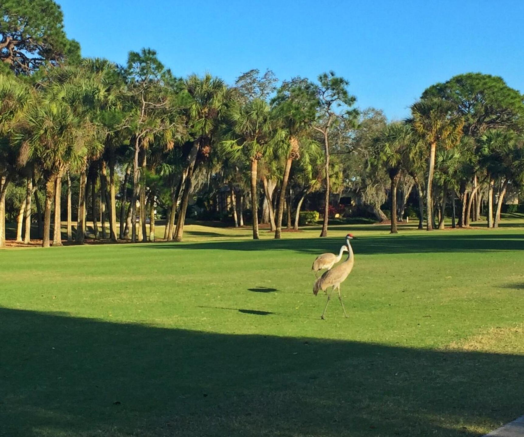 Wildlife (Photo submitted by u000003319766 on 02/08/2017)