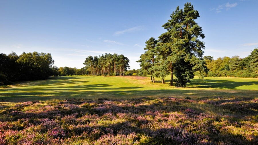 Bixley at Ipswich GC: #6
