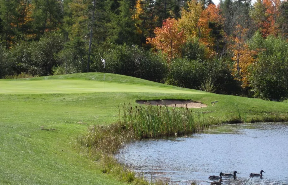The Links at Penn Hills