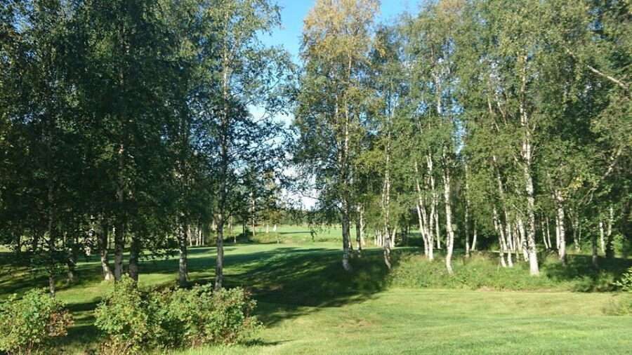 Hede Vemdalens GC