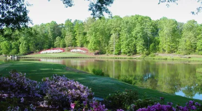 The Preserve at Verdae