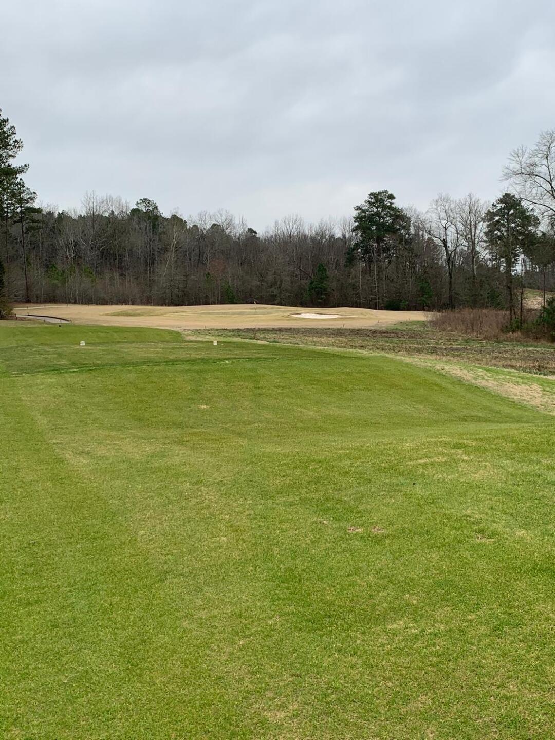 Par 3 12th hole (Photo submitted by Bradford5515627 on 01/30/2020)