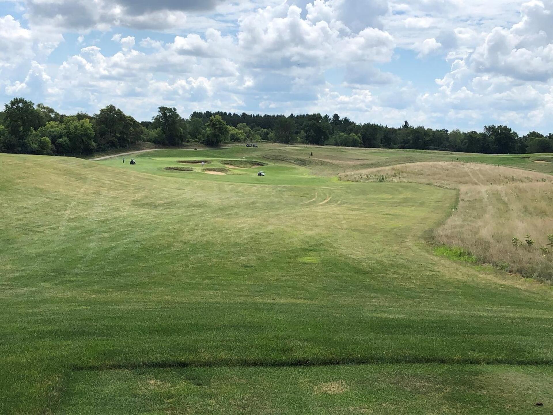 (Photo submitted by Kale1523211 on 08/09/2020)