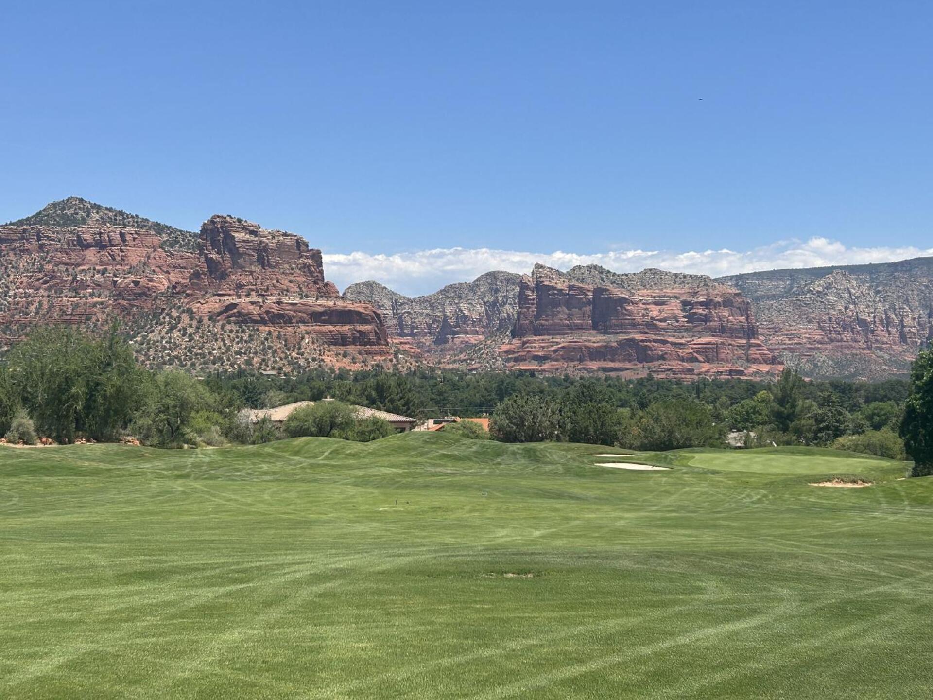 (Photo submitted by Anewell1 on 06/15/2025)