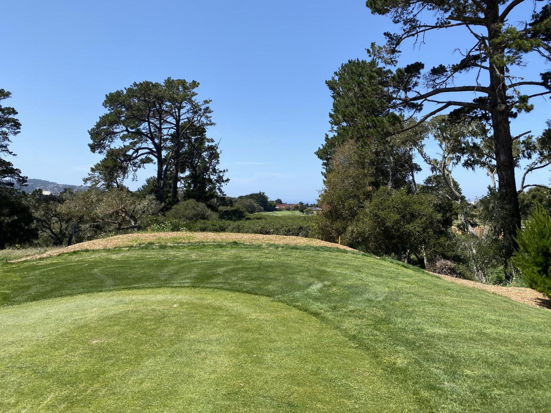 (Photo submitted by u314162669241 on 04/30/2022)