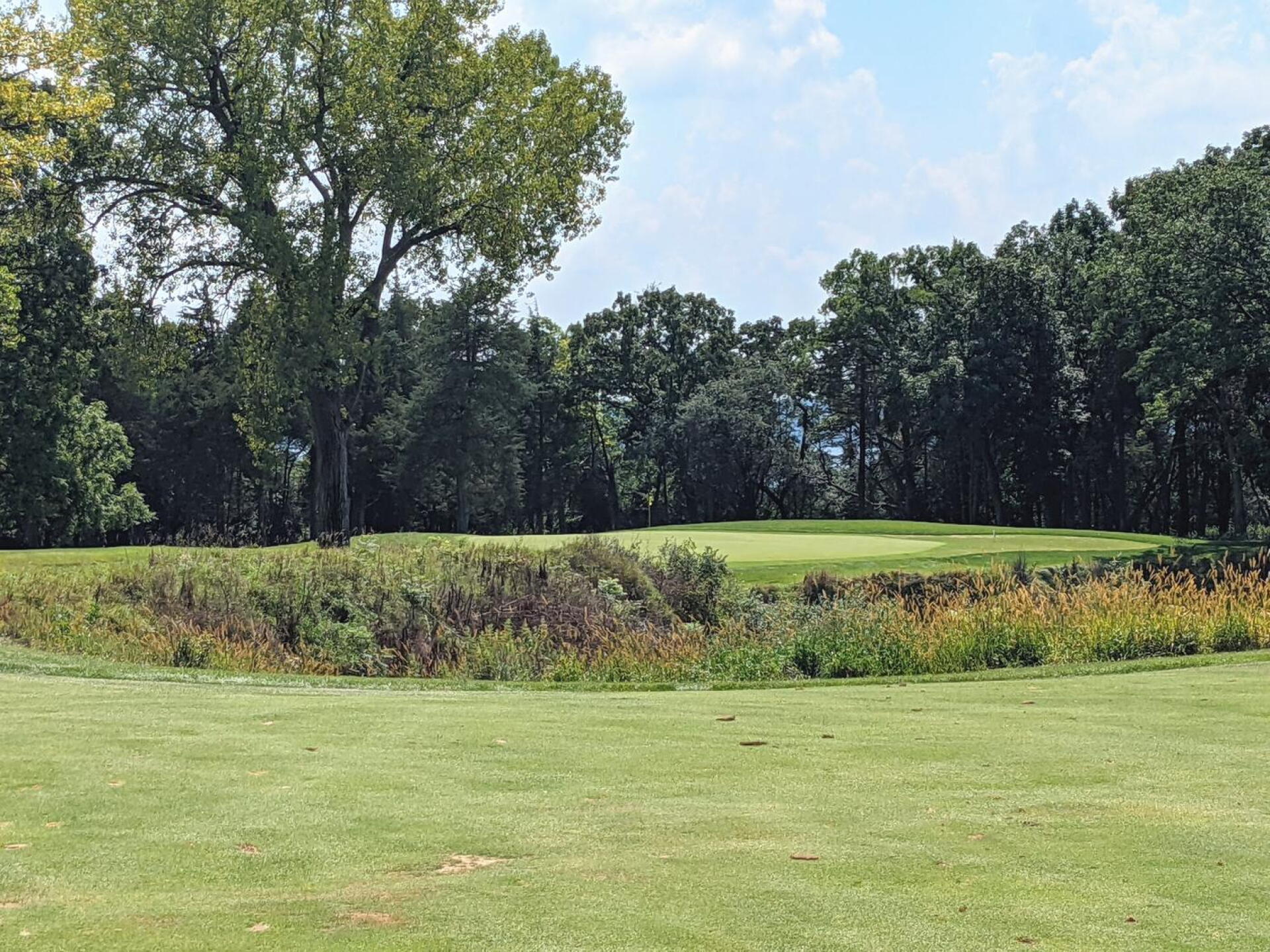 The approach to #2 is much improved with tree removal. (Photo submitted by GolferJake78 on 08/21/2021)