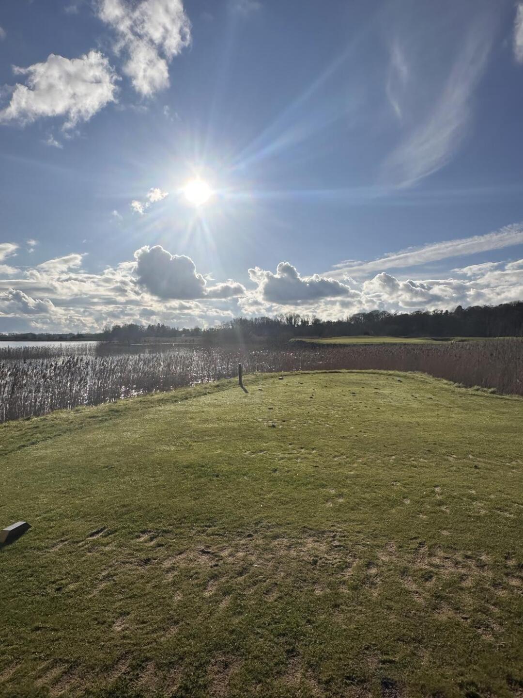 (Photo submitted by Joe7486491 on 02/09/2026)