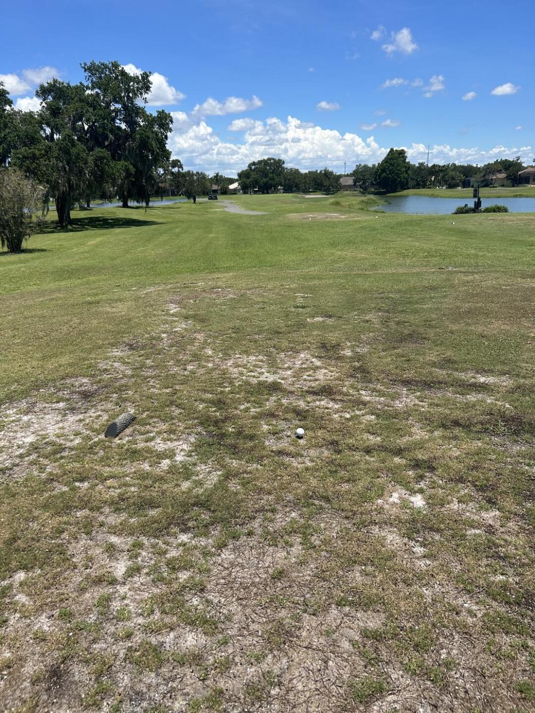 (Photo submitted by mattyward on 06/11/2023)