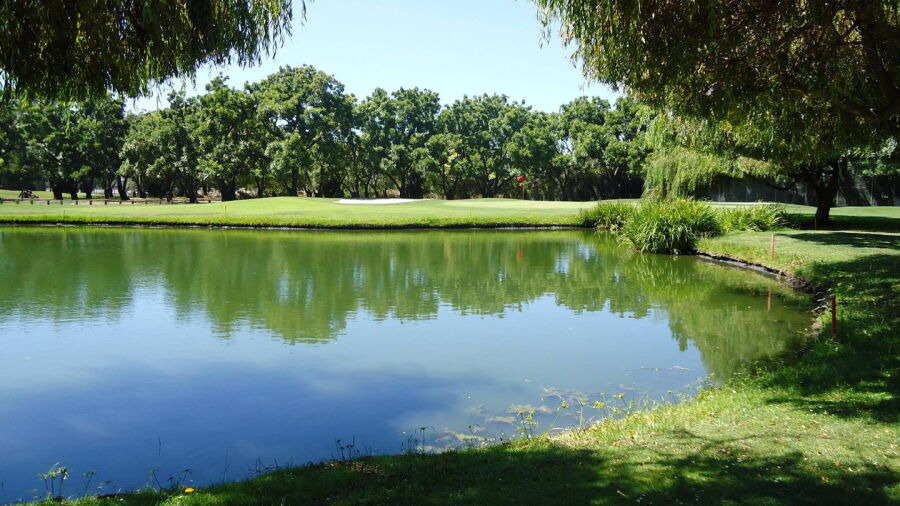 Sunnyvale GC