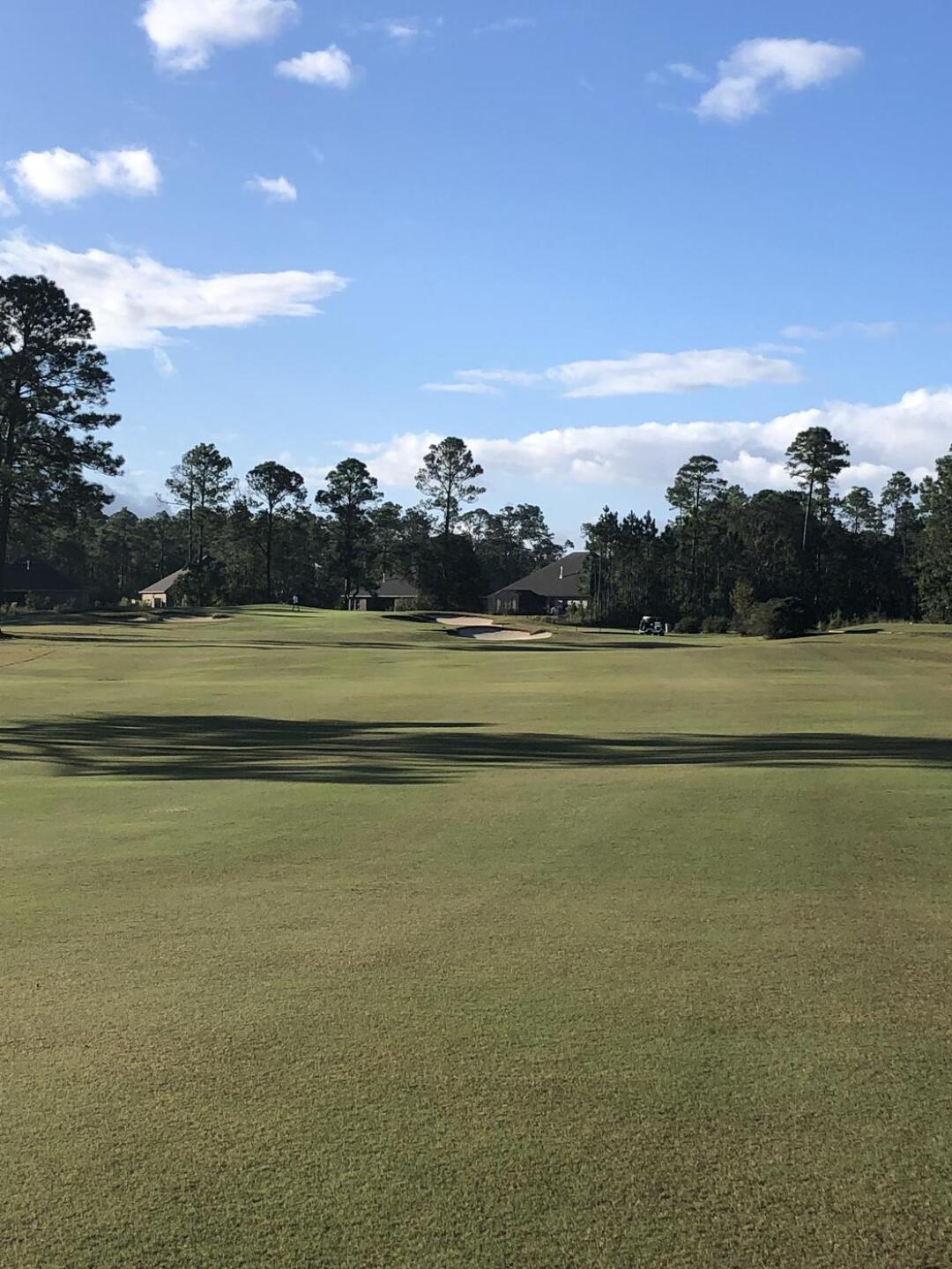 (Photo submitted by u314161906872 on 10/25/2021)