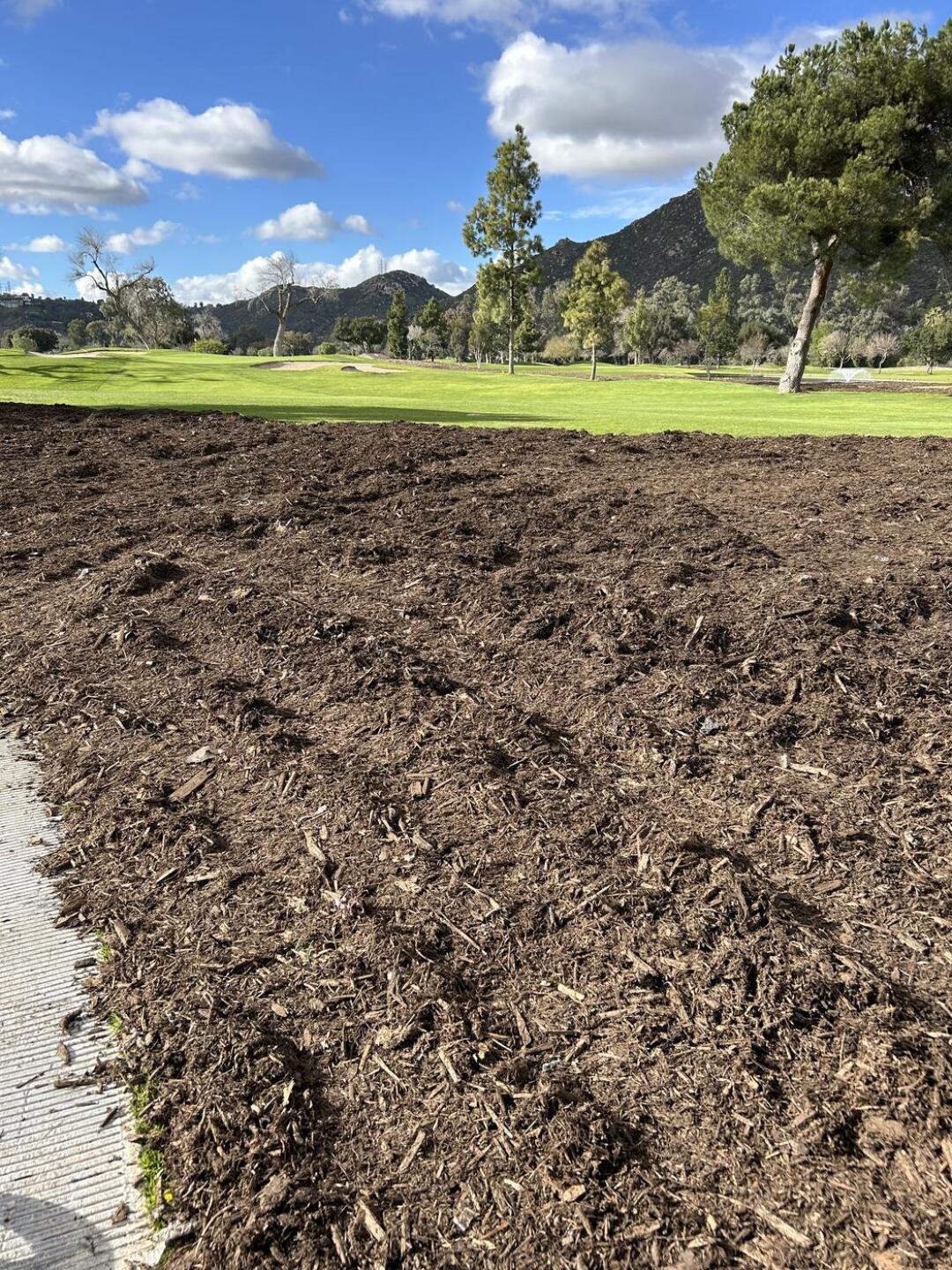 (Photo submitted by Daniel9823859 on 02/22/2024)