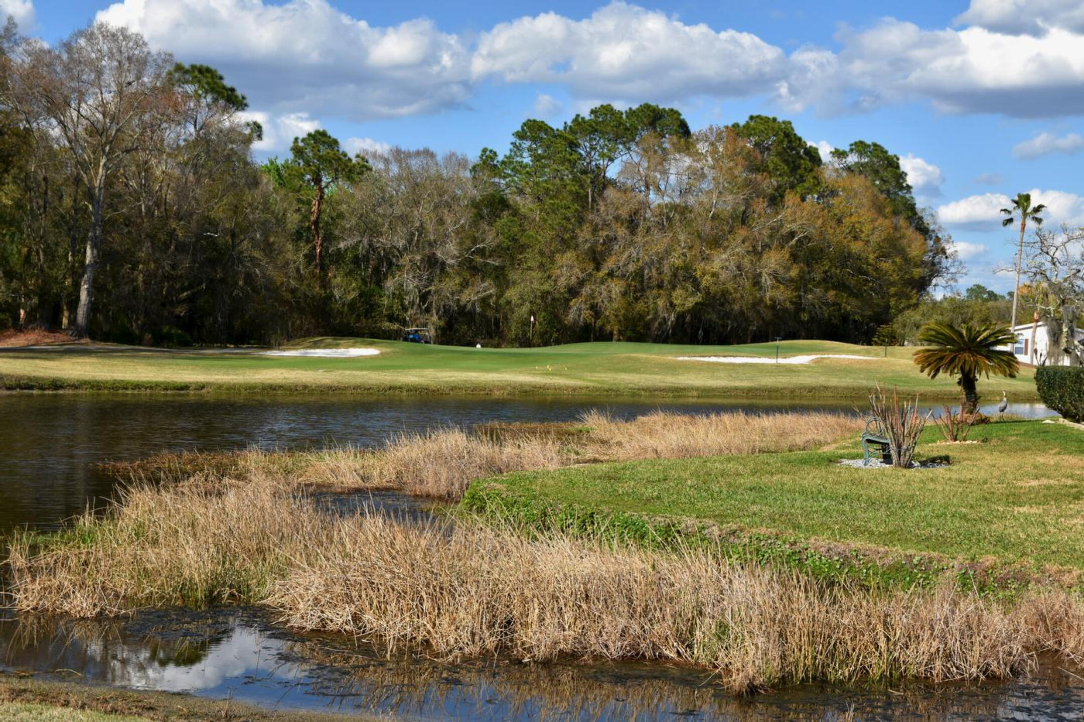 As seen from the eleventh tee, the par-3 twelfth is scenic—with a strong Florida vibe. (Photo submitted by AptlyLinked on 03/04/2026)