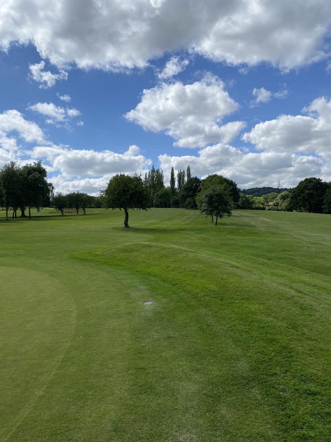 (Photo submitted by JayDog on 06/23/2024)