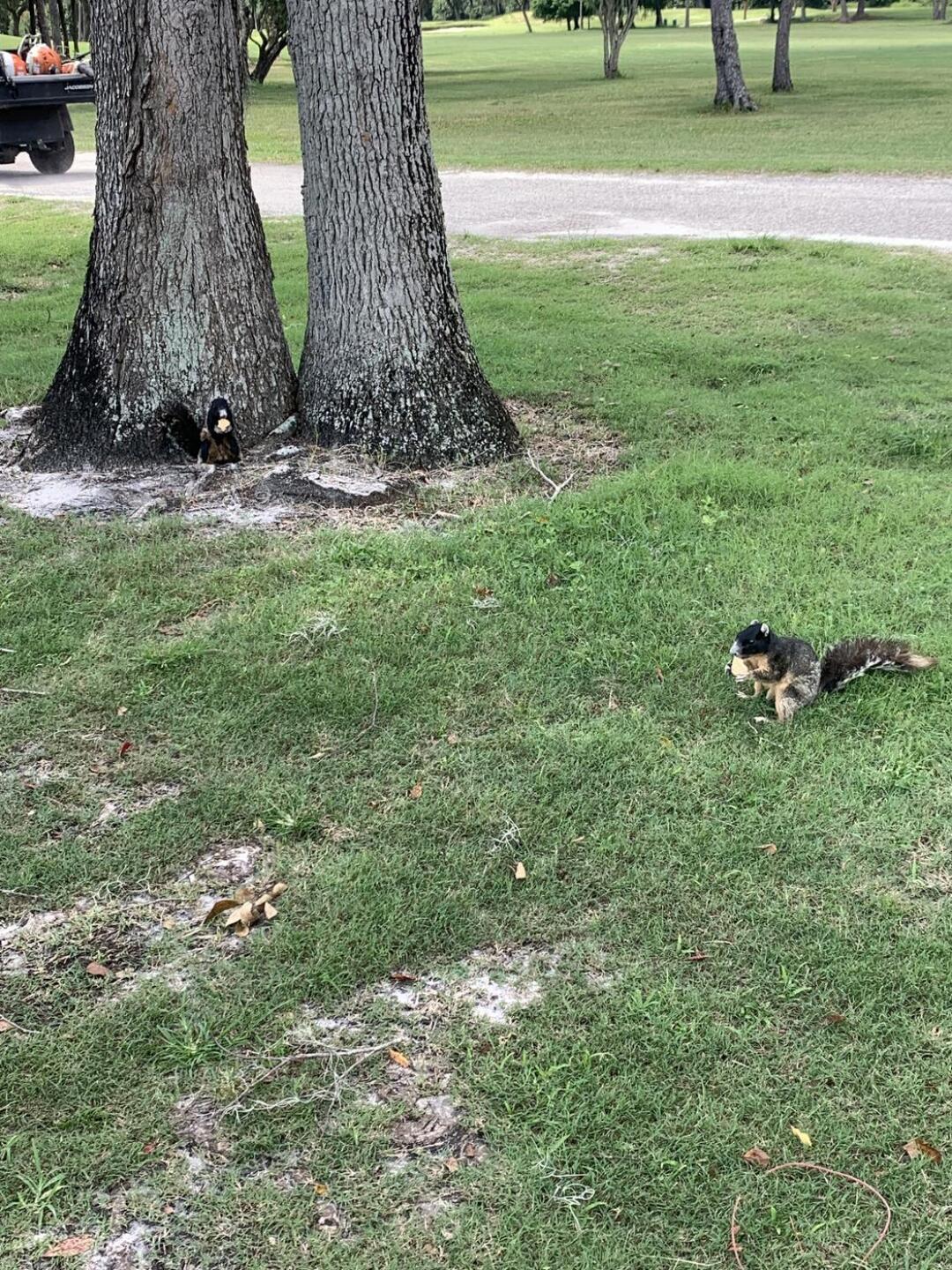 (Photo submitted by jphallis on 07/20/2022)