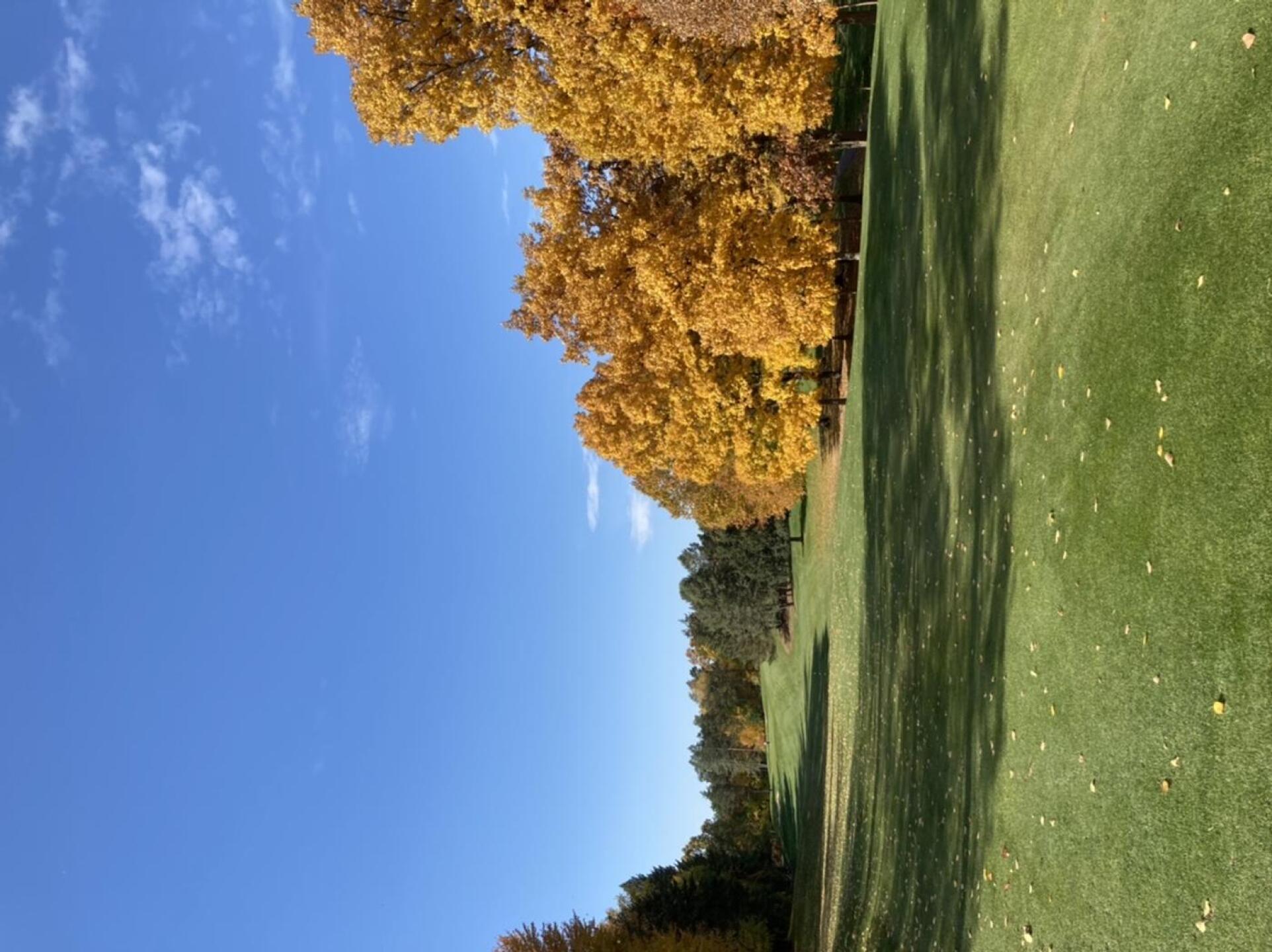 (Photo submitted by Dan7790734 on 10/25/2022)