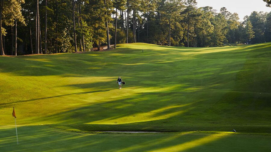 CC of the South