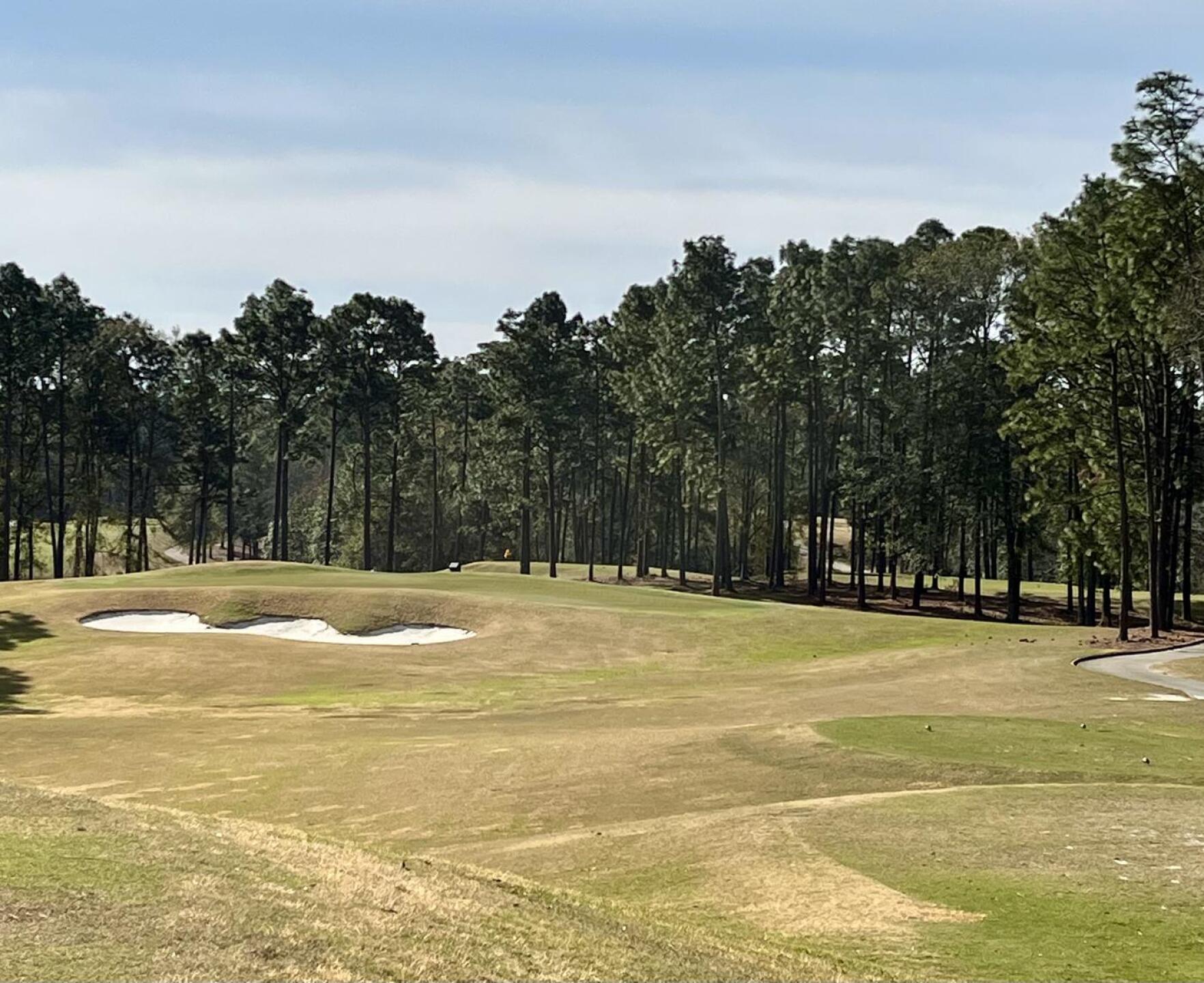 (Photo submitted by QuantumGolfx on 03/04/2022)