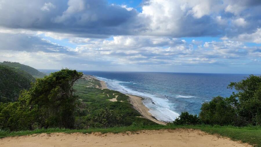 Royal Isabela - cliff