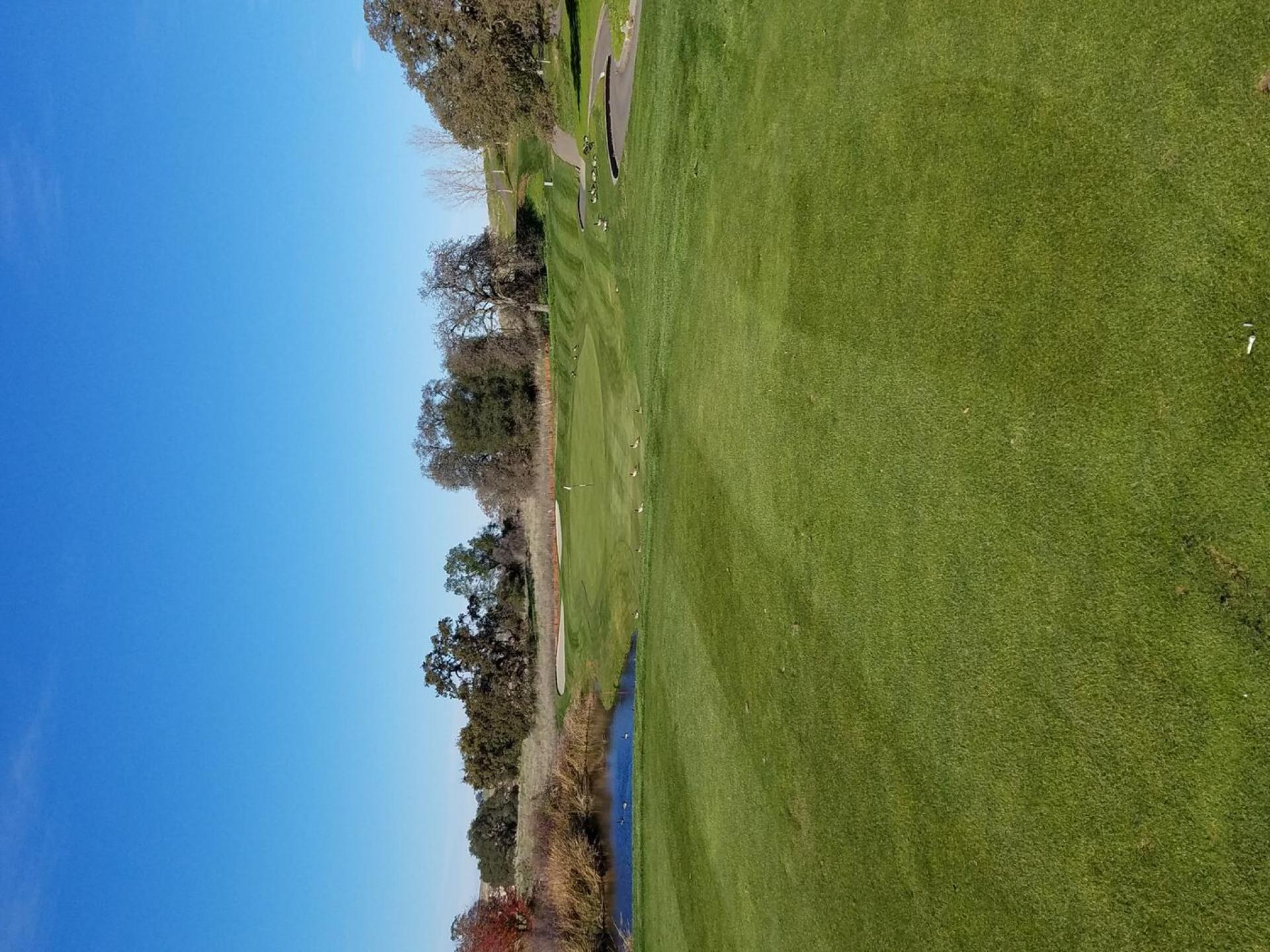 (Photo submitted by Titaniumhen on 12/02/2016)