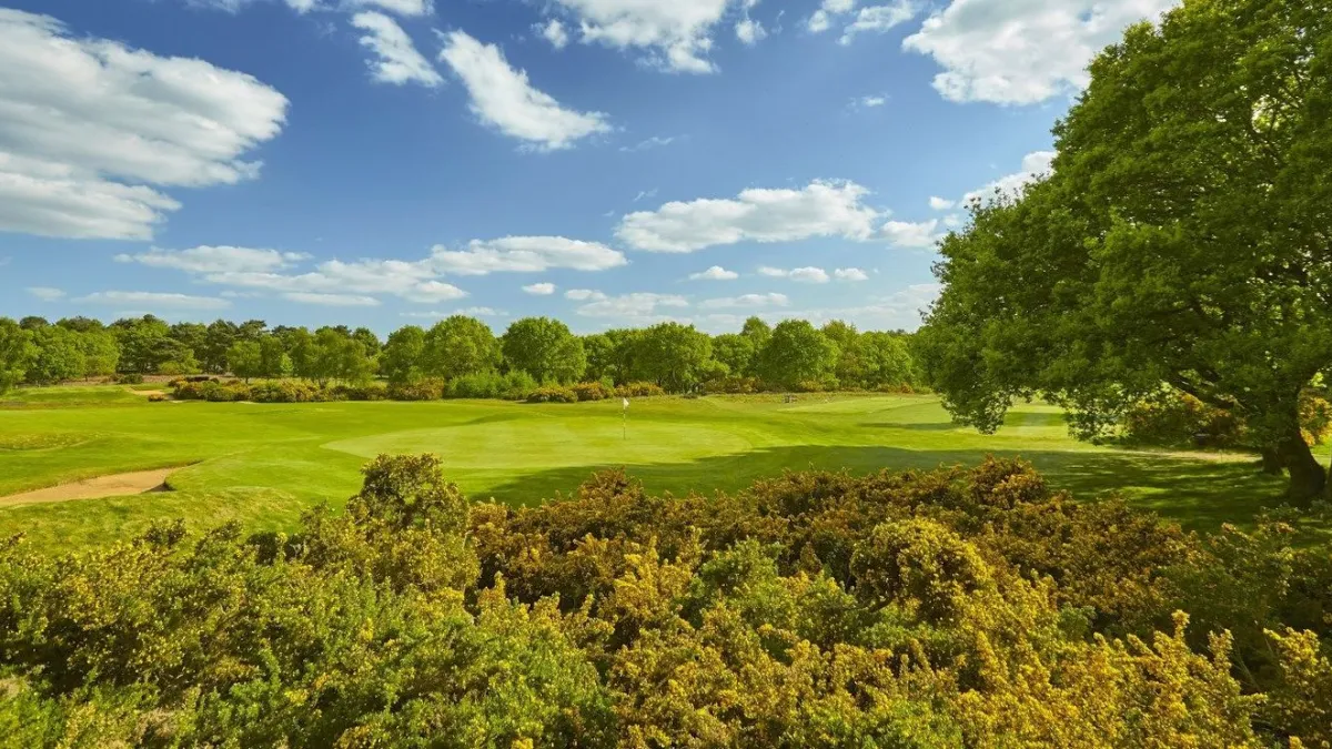 Woodbridge Golf Club - Heath Course in Woodbridge, Suffolk Coastal, England