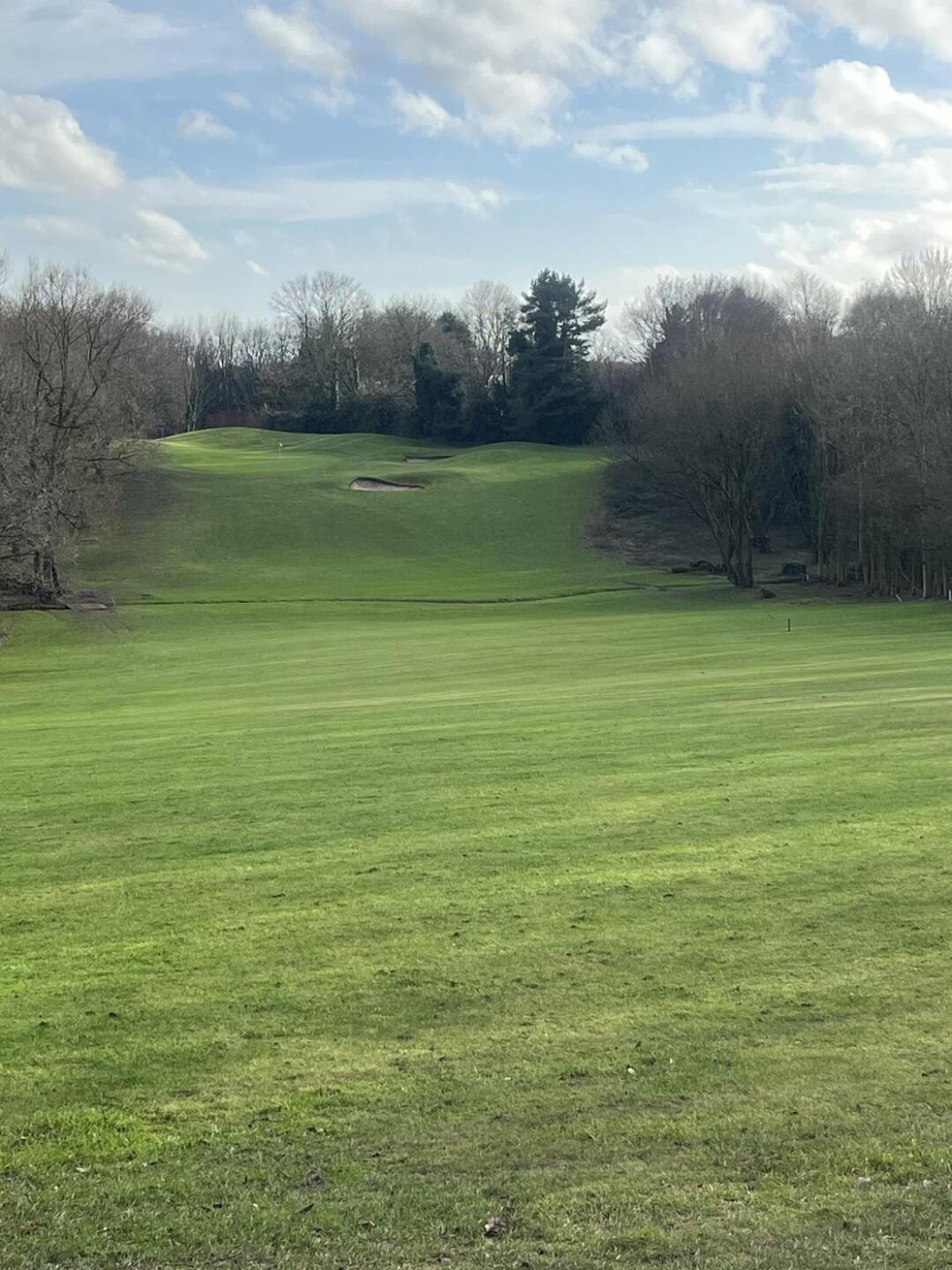 (Photo submitted by dazg79 on 01/25/2026)