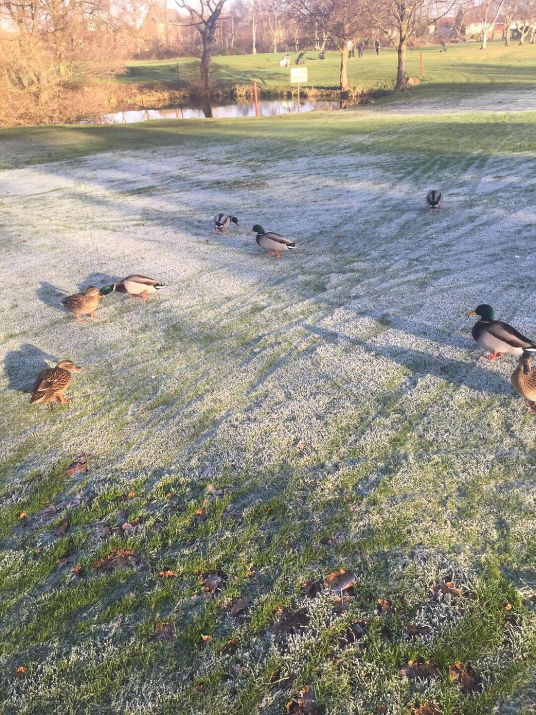 Taken at 12:30 (Photo submitted by SFGolf1992 on 12/29/2016)