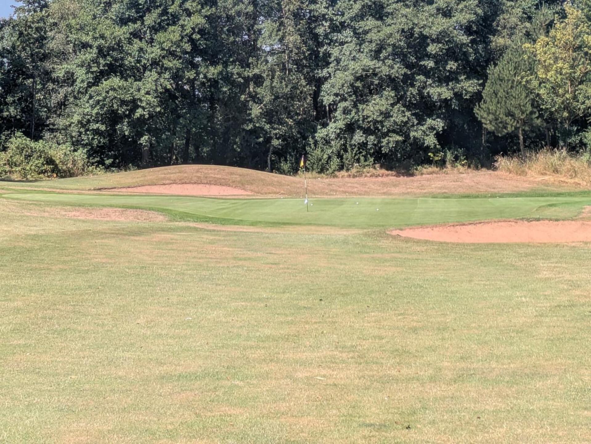 A rare hole where all 4 players made a par 4 in regulation (Photo submitted by t1453955647 on 07/13/2026)