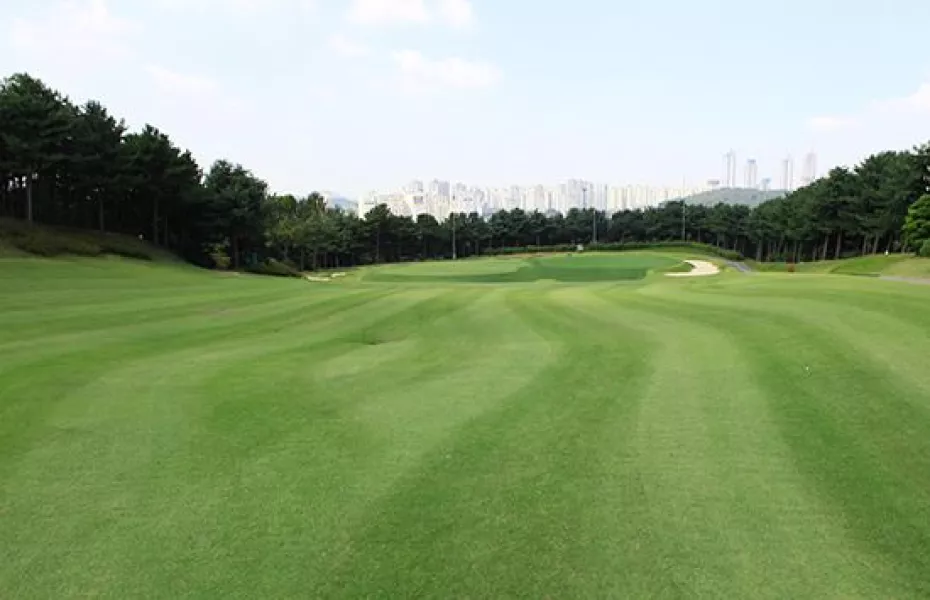 Riviera CC - Pine Hill: #2