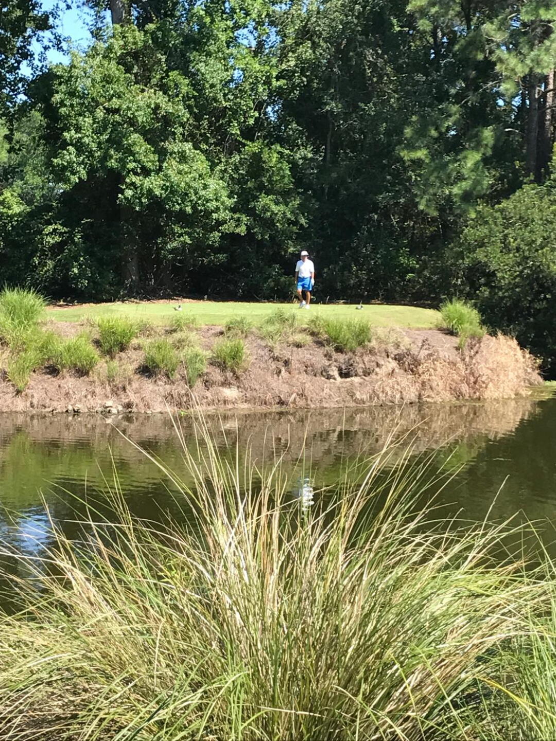 #14 and played the tips which was 60 yards across a pond that had to be walked. (Photo submitted by LarryNoli on 08/03/2017)