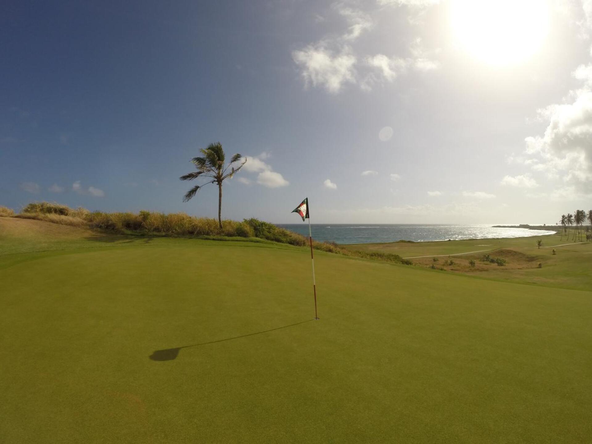 (Photo submitted by adamstanley0912 on 02/10/2016)