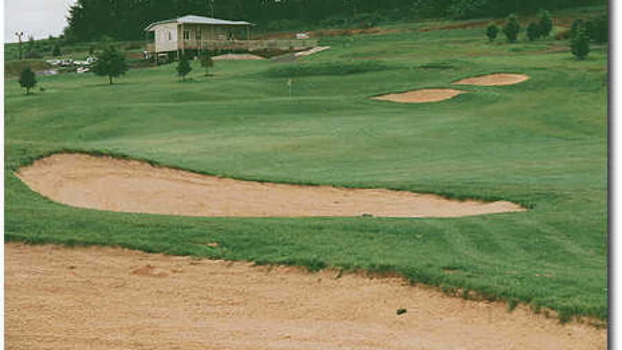 Diamond Woods #9
