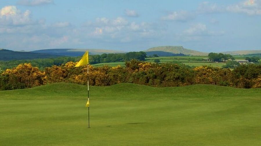 Yelverton GC: #8