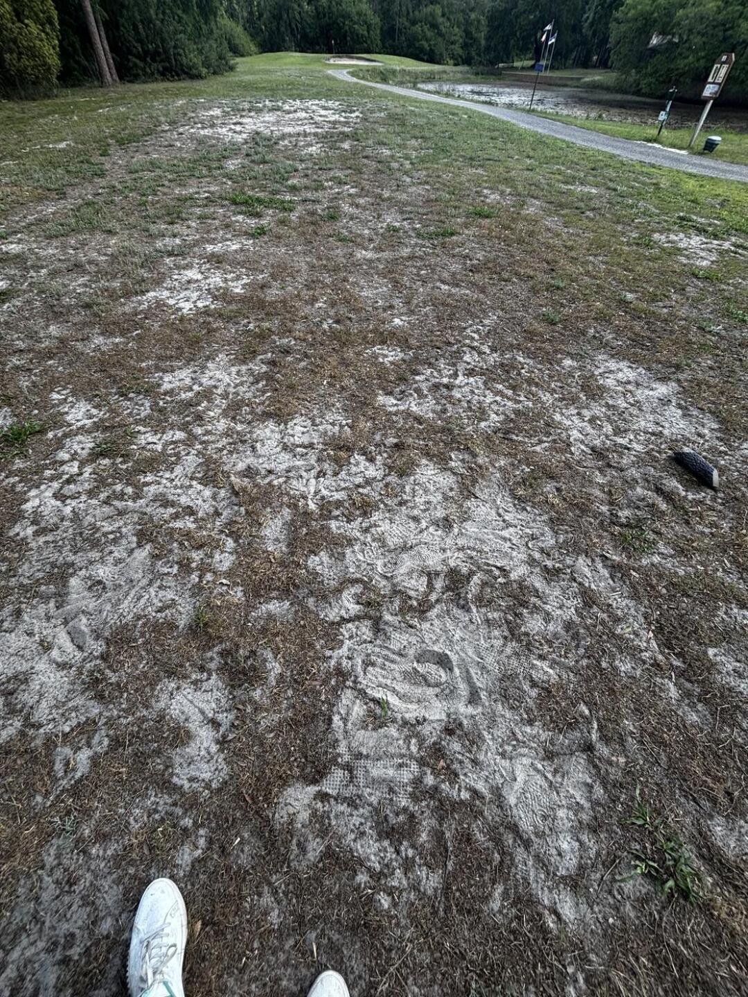 (Photo submitted by taazzgametime on 04/04/2026)