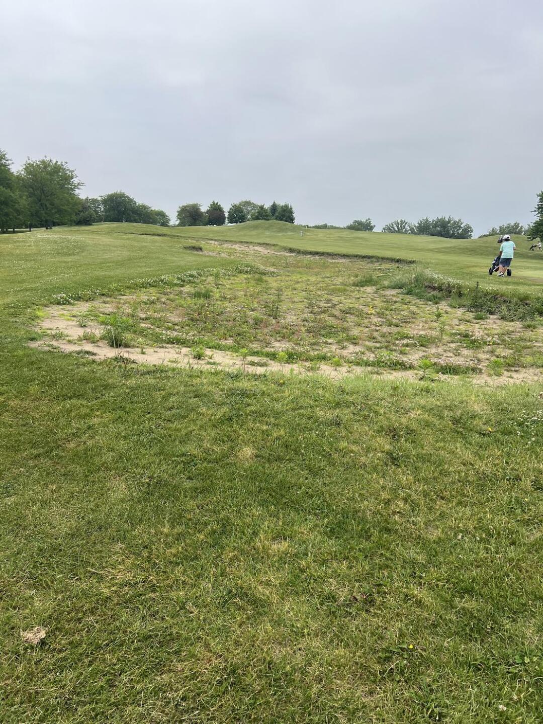 (Photo submitted by u314163474353 on 06/16/2025)