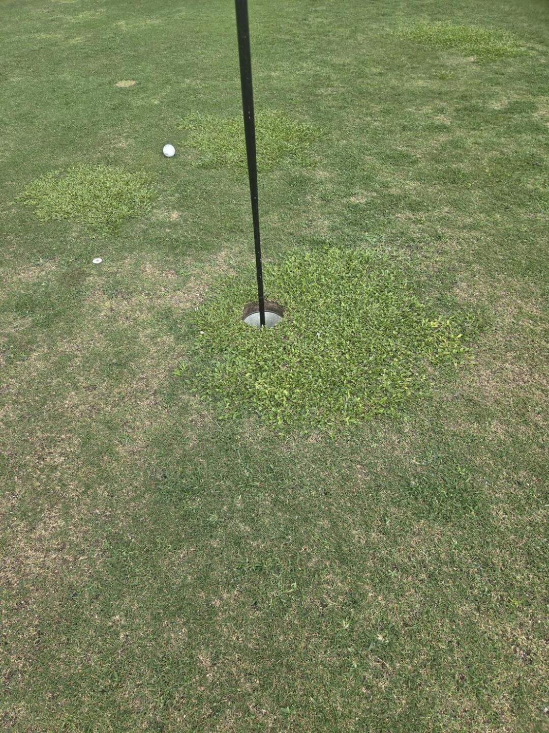 Hole in the middle of weed patch (Photo submitted by SubDenis on 05/31/2026)