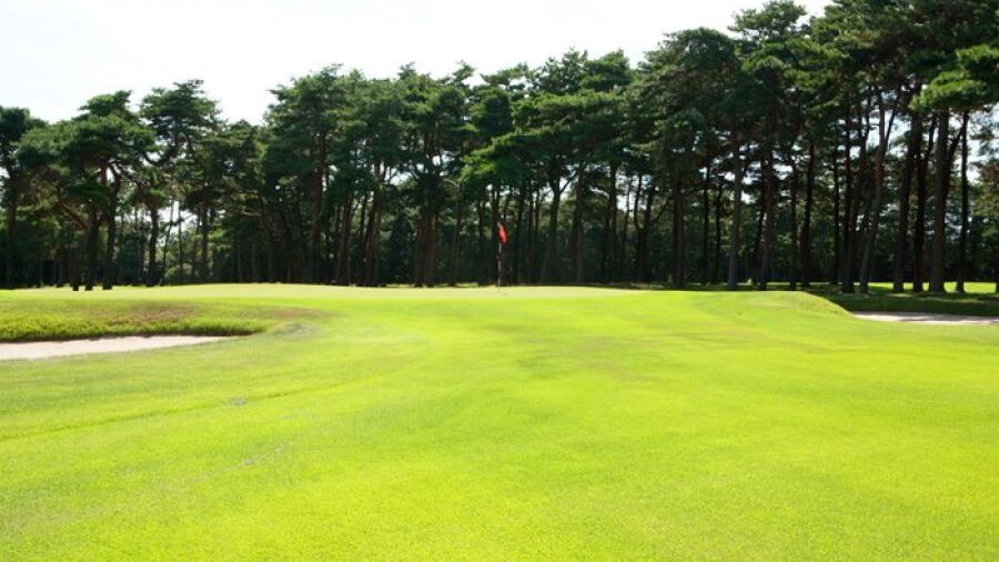 Mitsukaido GC: #14