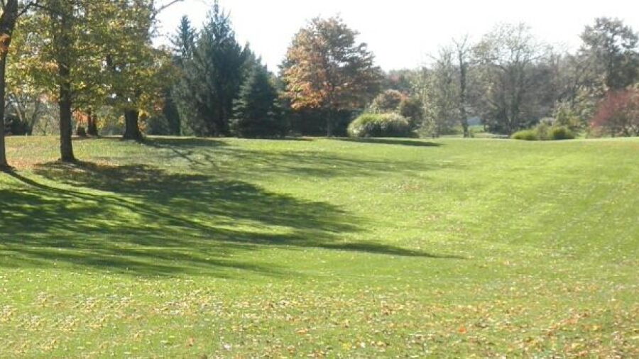 Dyer CC