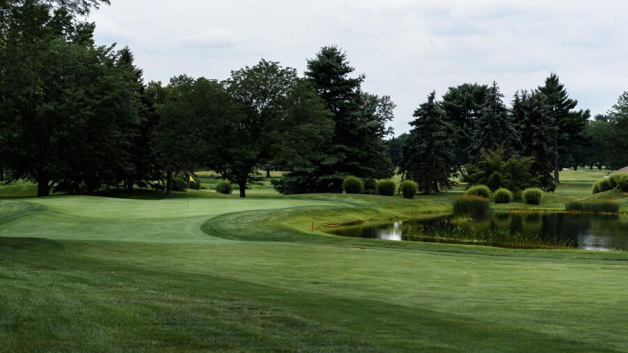 Whitford CC: #9