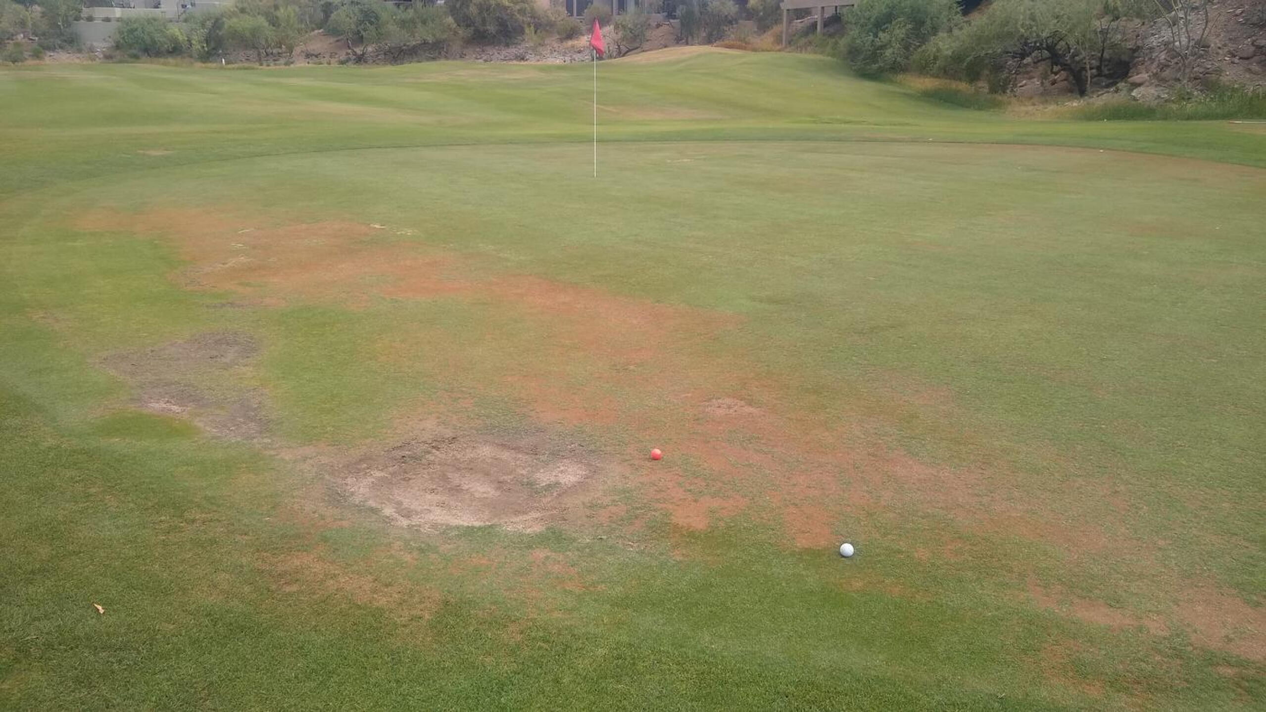 Green Hole 16 (Photo submitted by tarifachris on 06/19/2022)