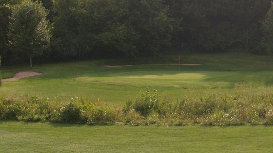Nine Springs GC: #2