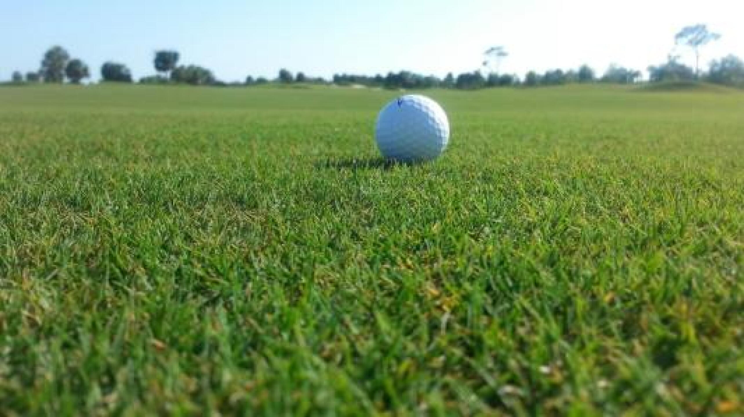 My ball on the 14th fairway (Photo submitted by UGA80 on 04/28/2014)