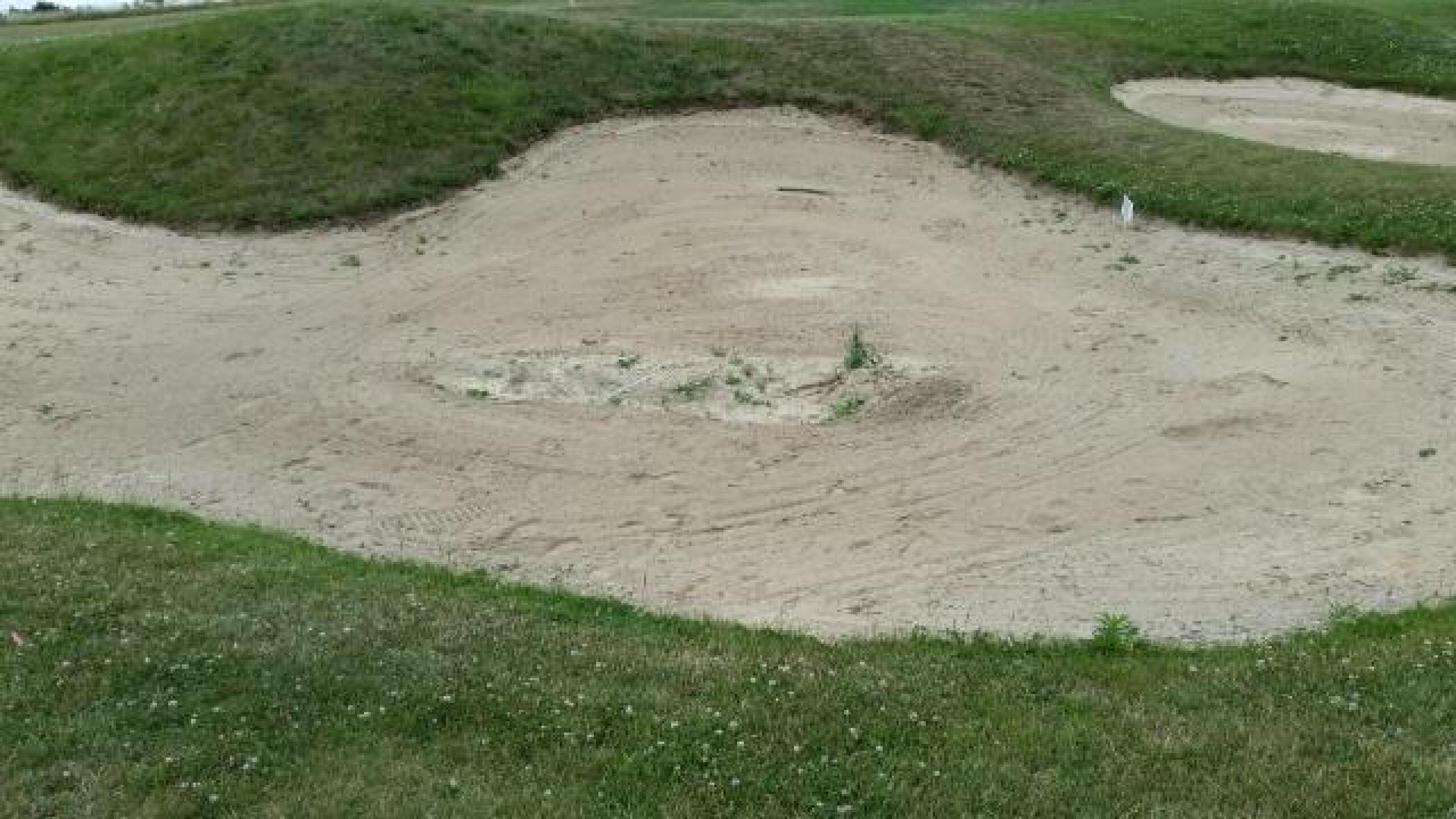 Bunker veggies (Photo submitted by sgbrittain on 06/29/2016)