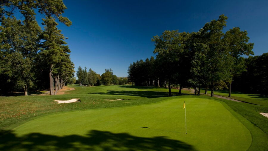 Pine Trace GC