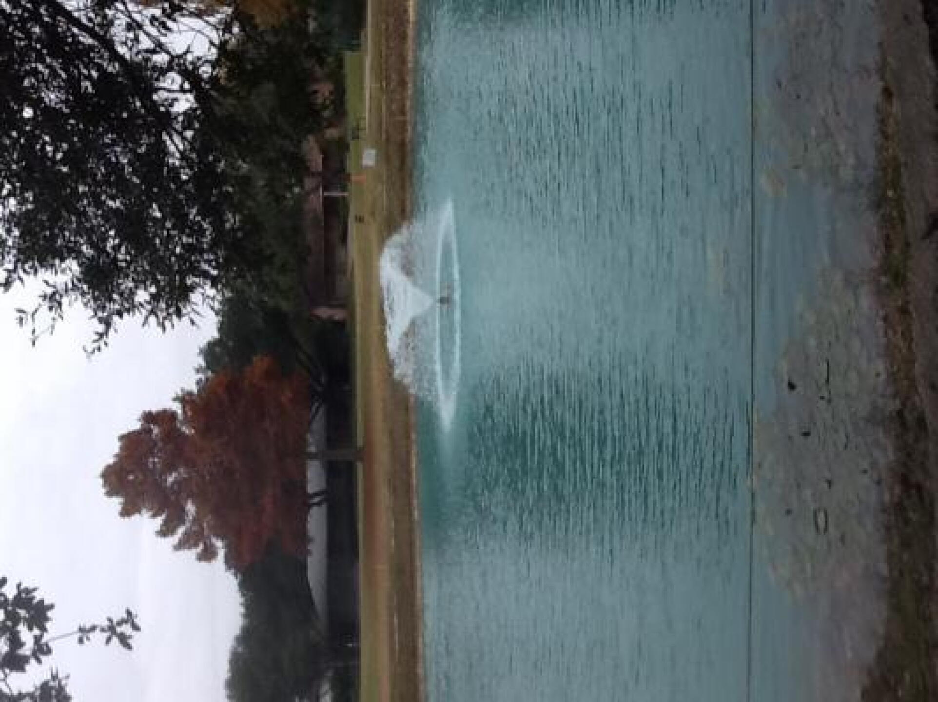 (Photo submitted by u000008035062 on 12/07/2013)