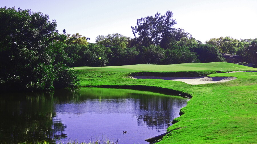 Renaissance Vinoy Golf Club - 17th