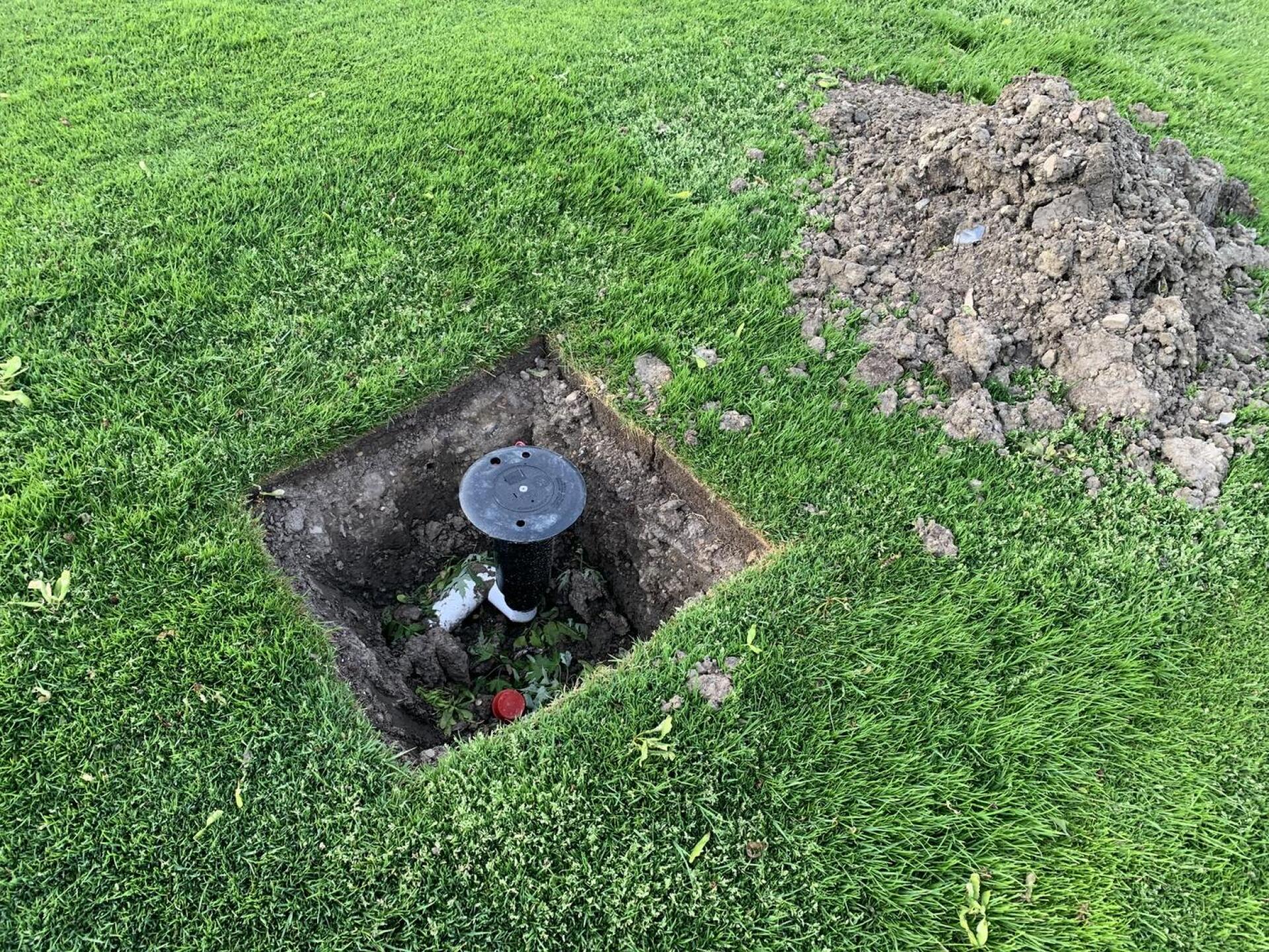 (Photo submitted by al7788 on 05/24/2022)